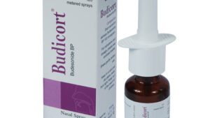 Rhinocort (Budesonide) Nasal Spray